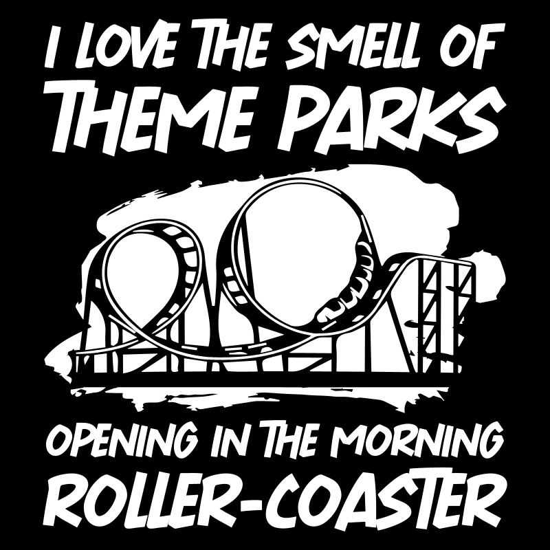 Roller Coaster For A Theme Park