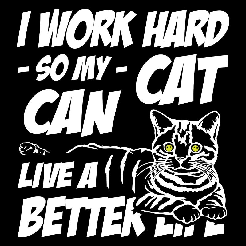 I work hard so my cat can live a better life
