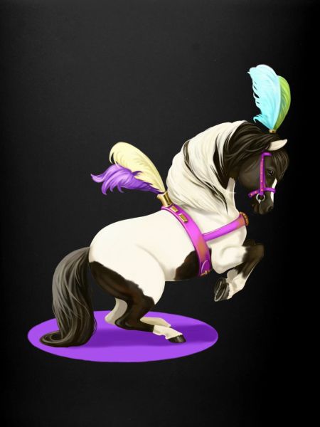 Circus Pony