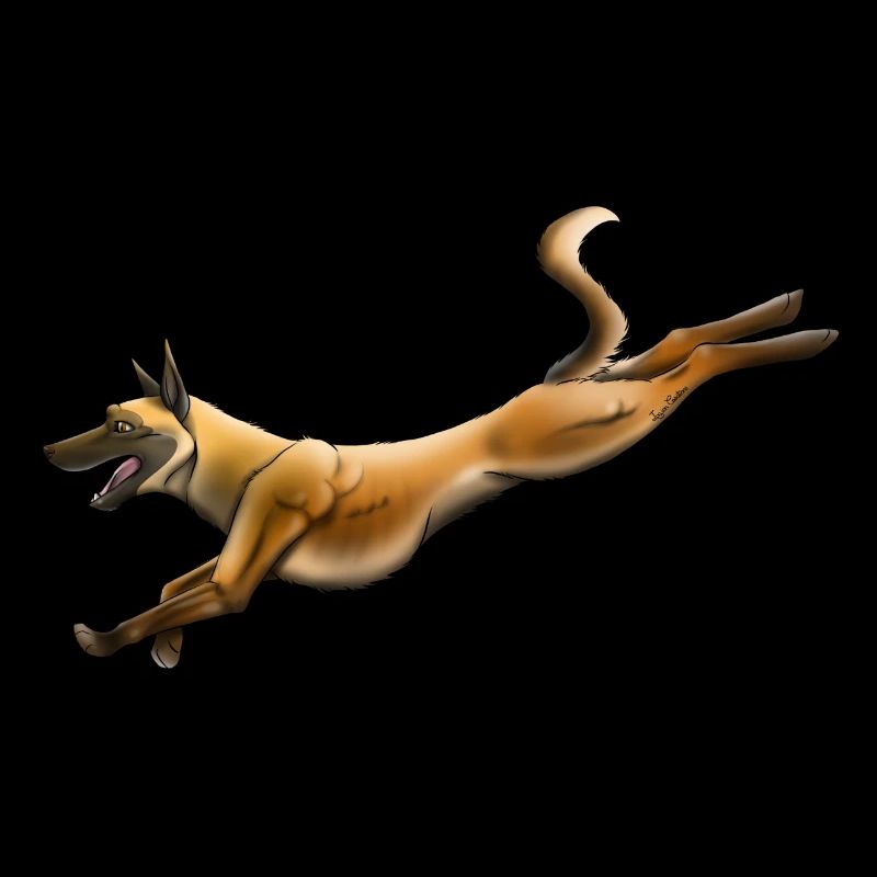 Belgian Shepherd Malinois