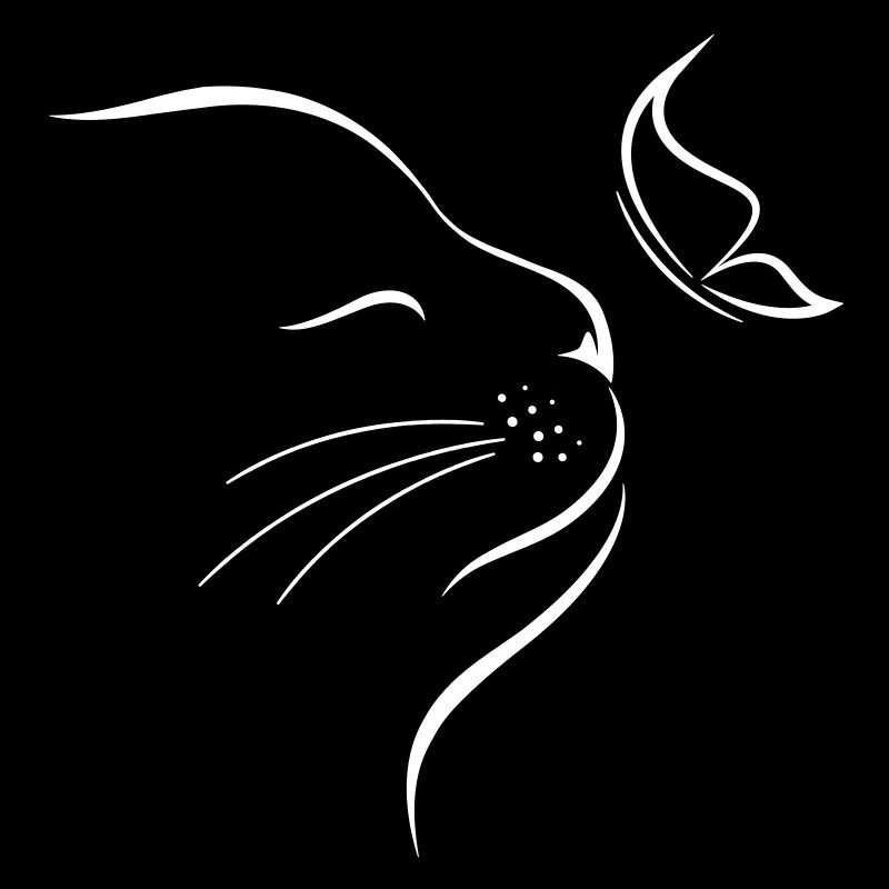 cat butterfly