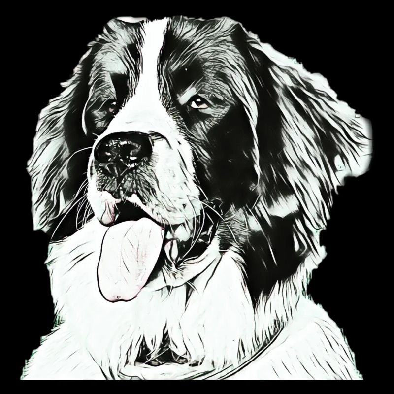 Landseer