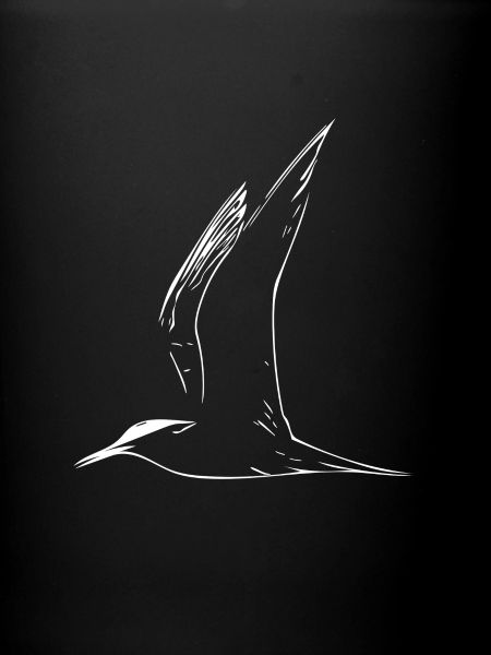 Mouette