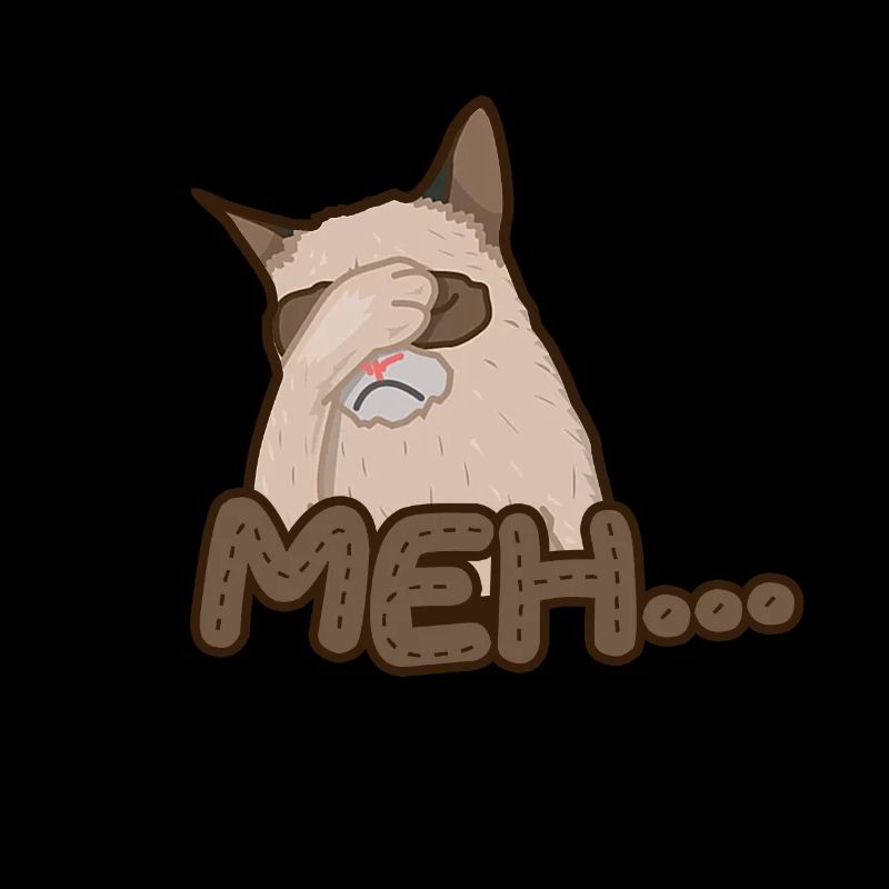 Meh - chat énervé - Fail