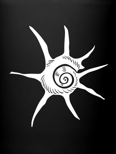 shell