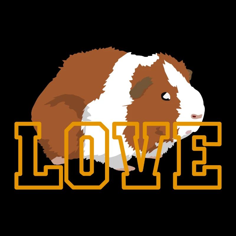 Amour Cochons d'Inde