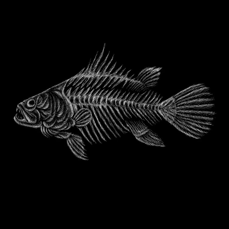 Fish drawing