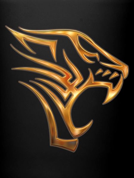 Tribal Tiger