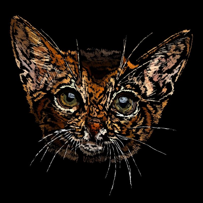 Chat de dessin animé