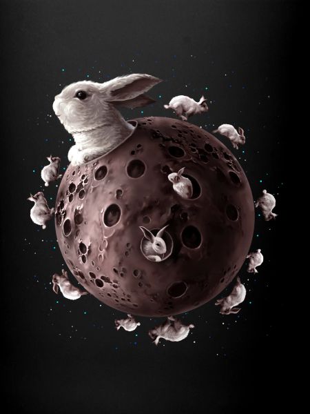PLANÈTE LAPIN