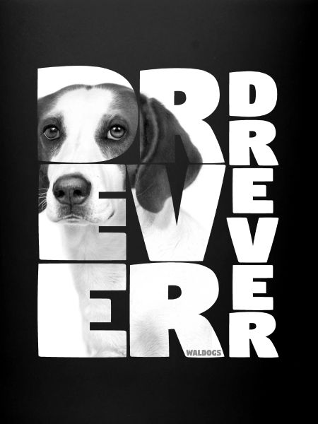 NASSU Drever 02