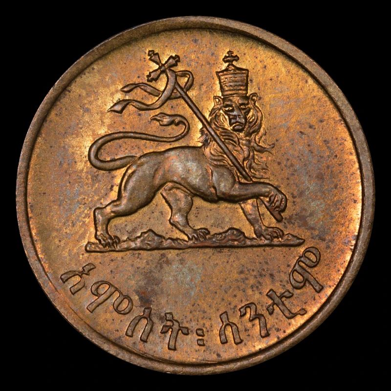 Lion de Juda - Reggae Jah Rastafarian Roots Rasta