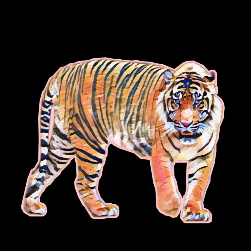 tiger