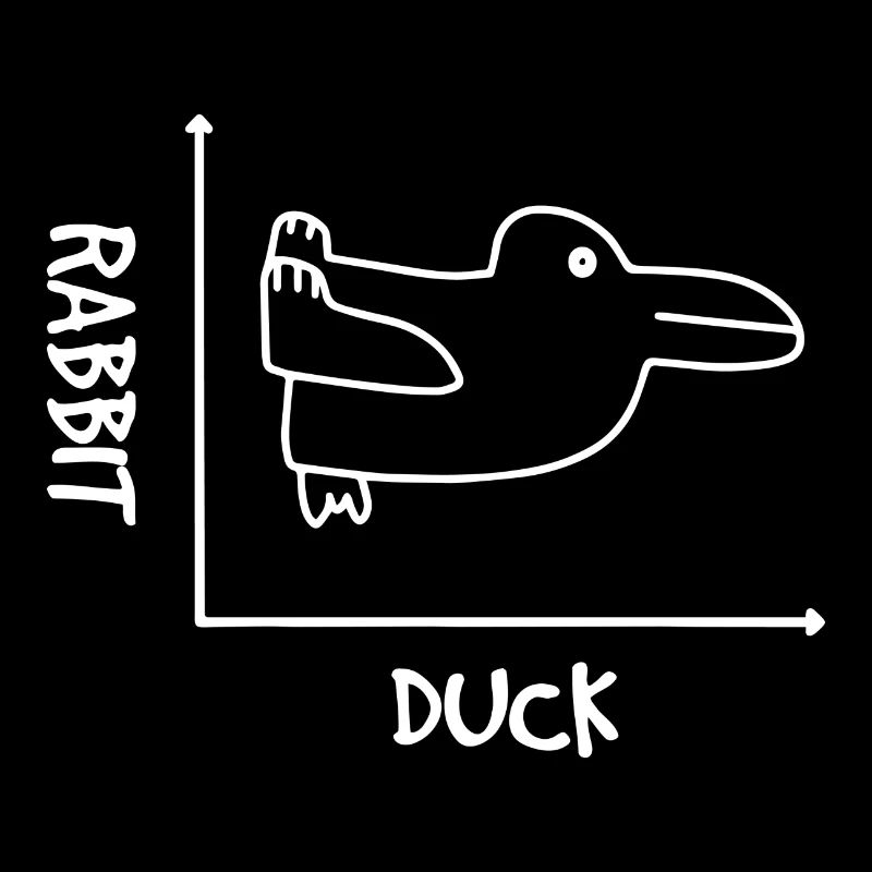Grafik Hasse Ente Illusion Mathe Geschenk