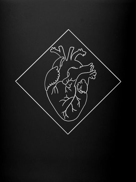 Géométrie du coeur