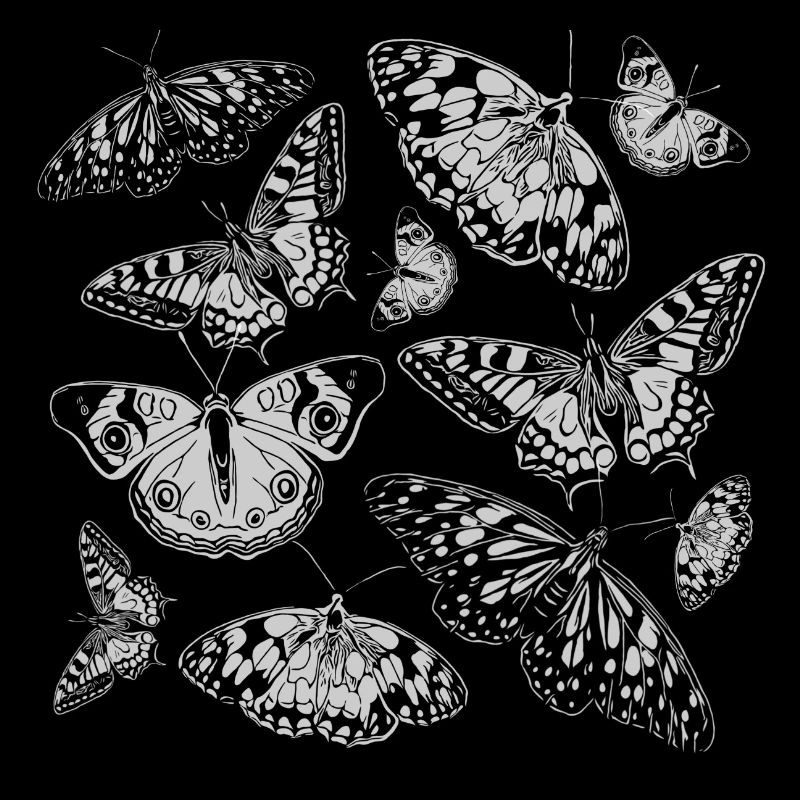 Papillons blancs