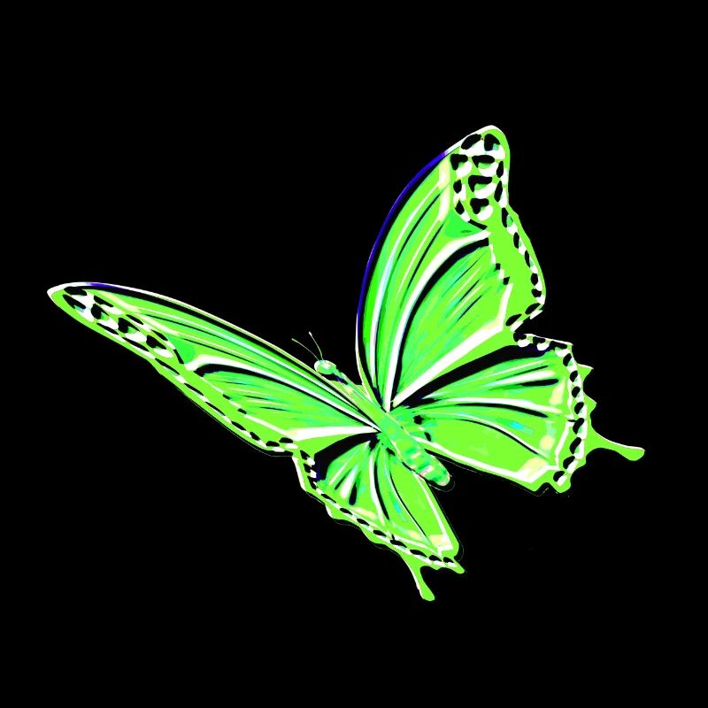 Papillon vert