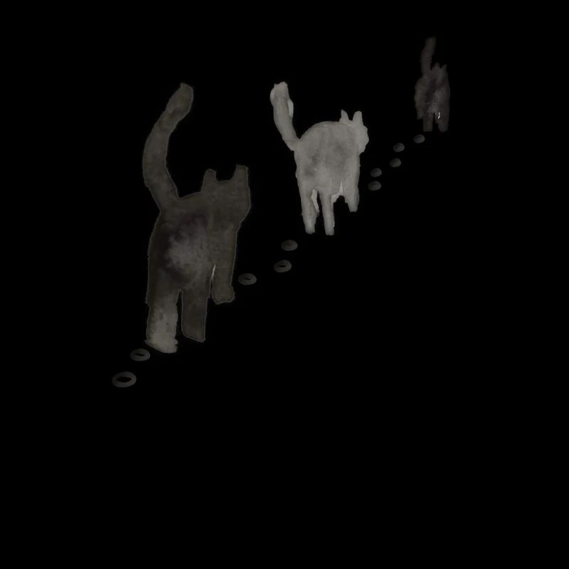black cats