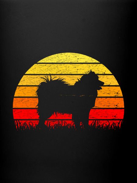 Samoyède sunrise silhouette