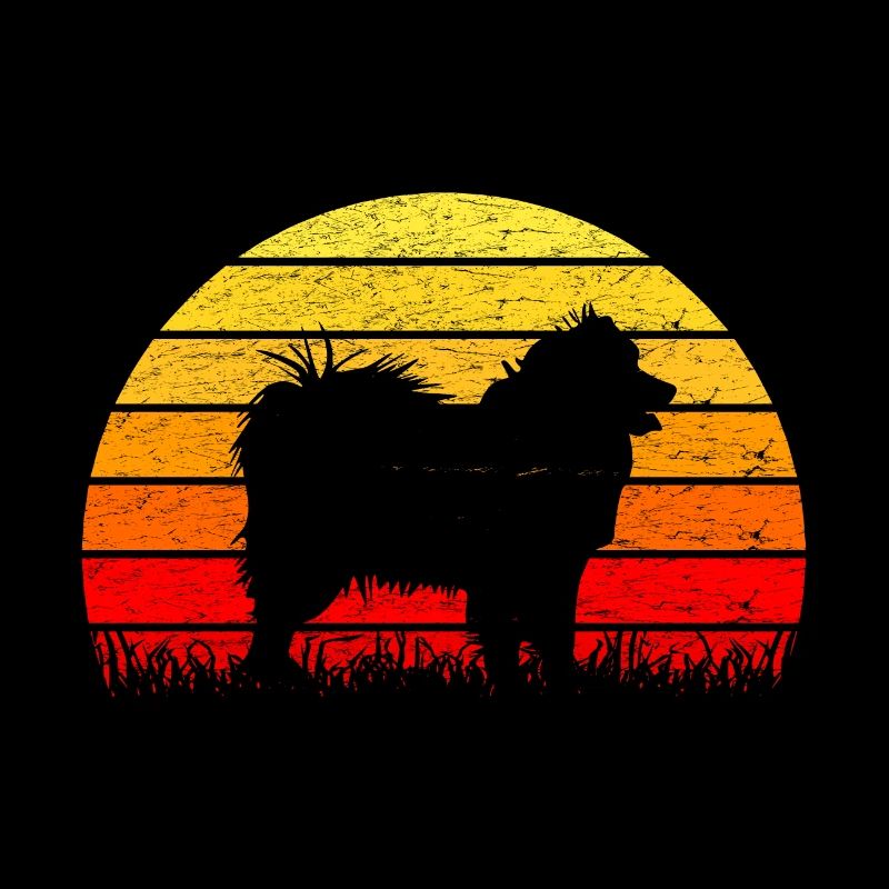 Samoyed sun sunrise silhouette