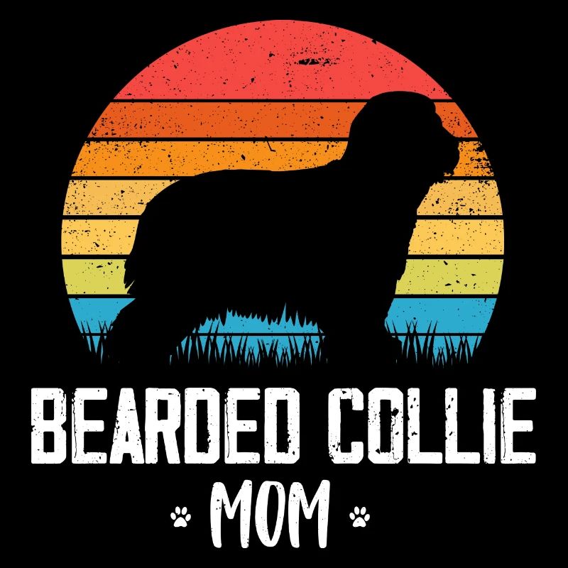 Collie barbu