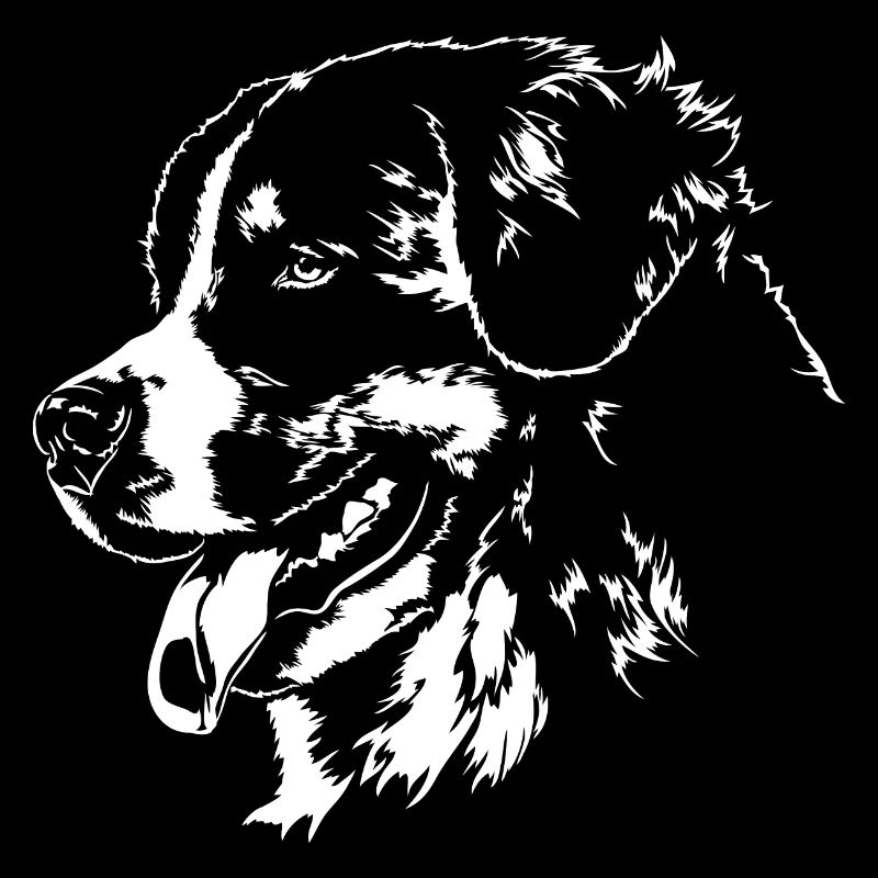 Bouvier Bernois Portrait Chiens Wilsigns