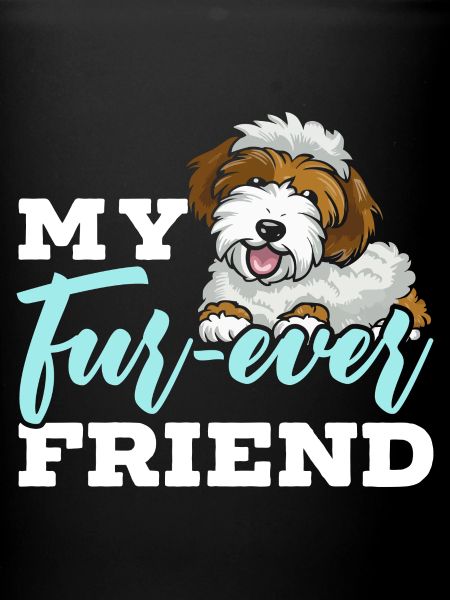 Chien Sheepadoodle mignon