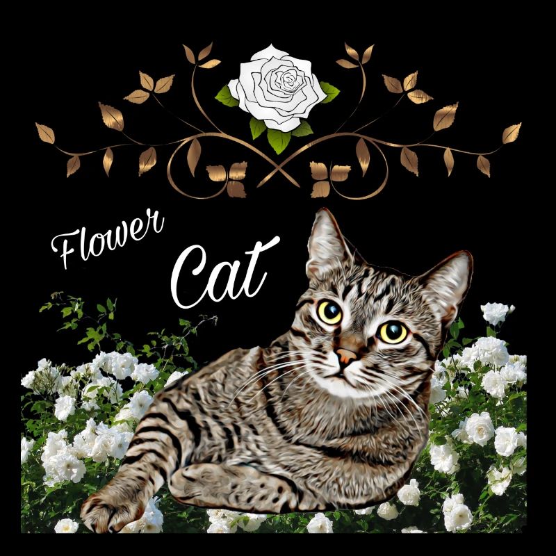 Chemise de chat, chat