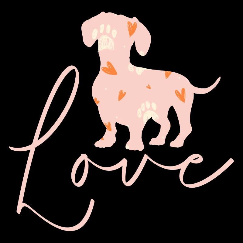 Teckel chien de toit