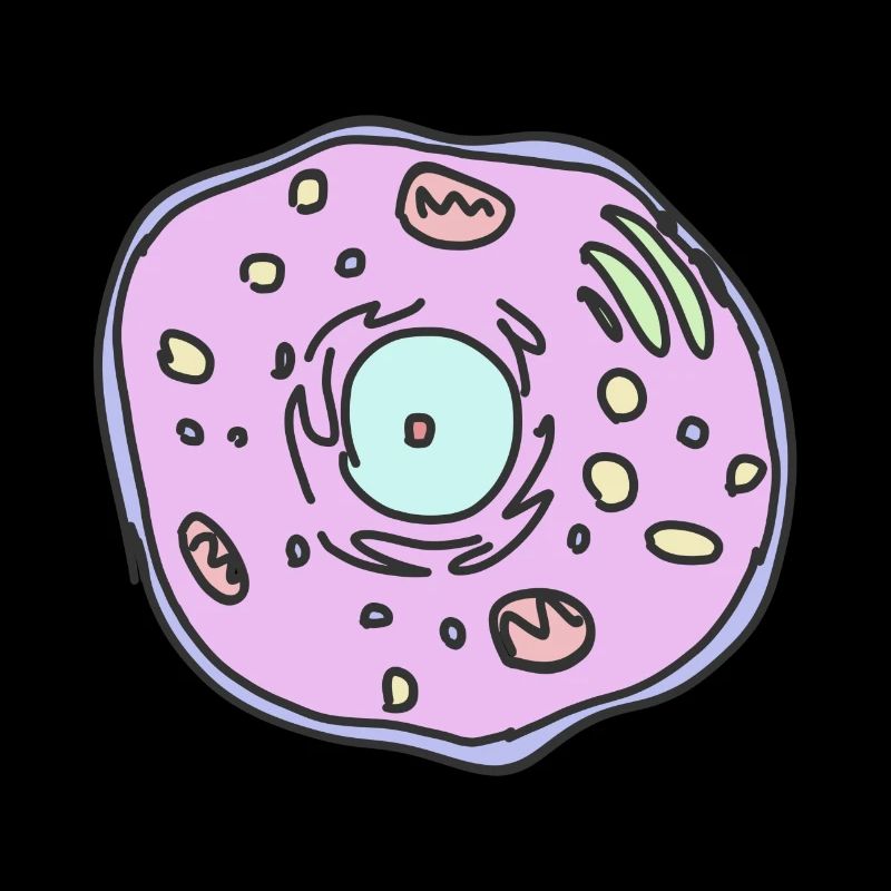 cellule animale