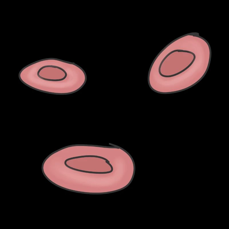 Cellules de cellules de sang