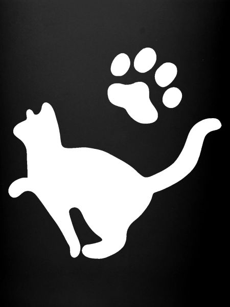 Chat Animal de compagnie