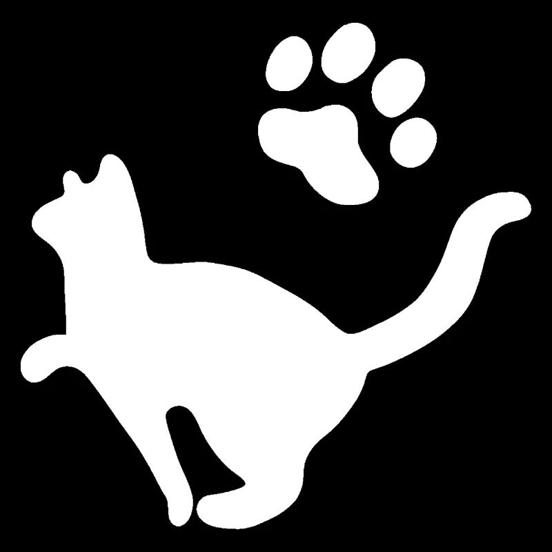 Chat Animal de compagnie