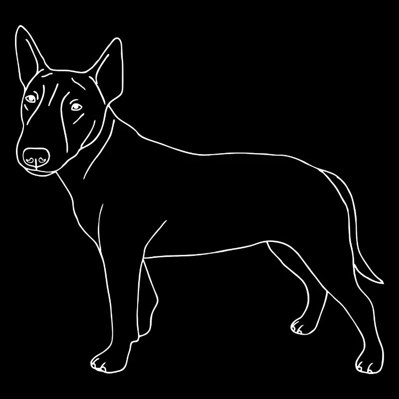 Bullterrier