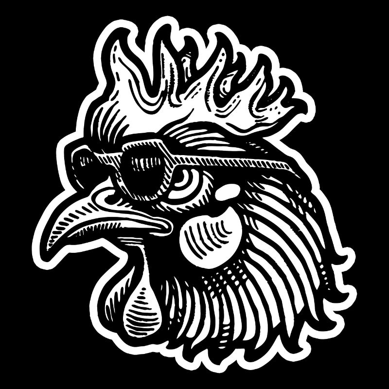 Chicken Chicken Coop