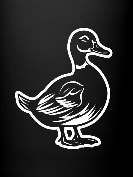 Canards