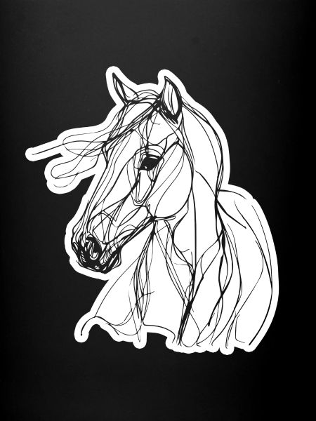 Cheval Équitation Équitation