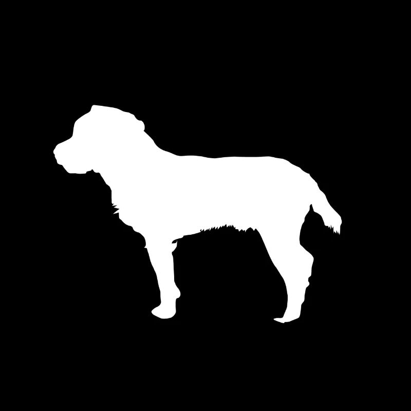 Chasseurs - Terriers de chasse allemands