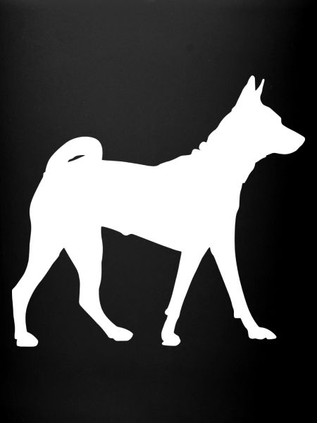 Chien Basenji - Basenji