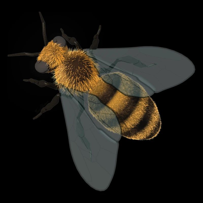 Abeille