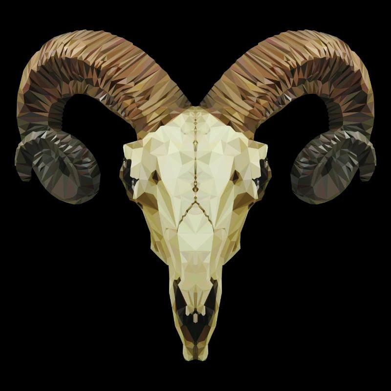 Ram's skull