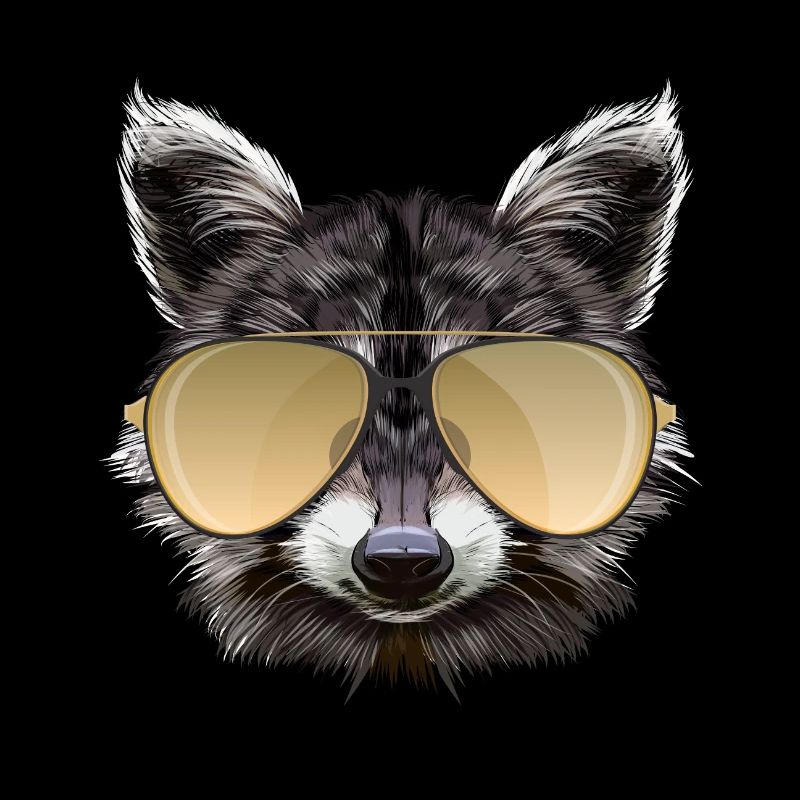 Waschbär mit Sonnenbrille