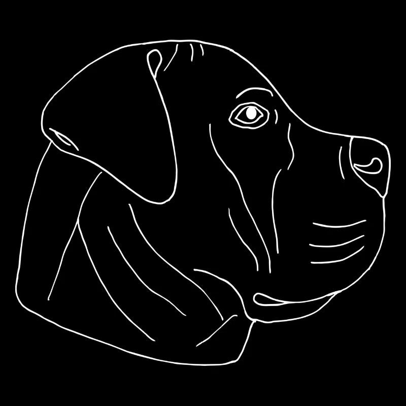 Boerboel