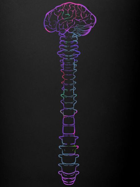 physiotherapist