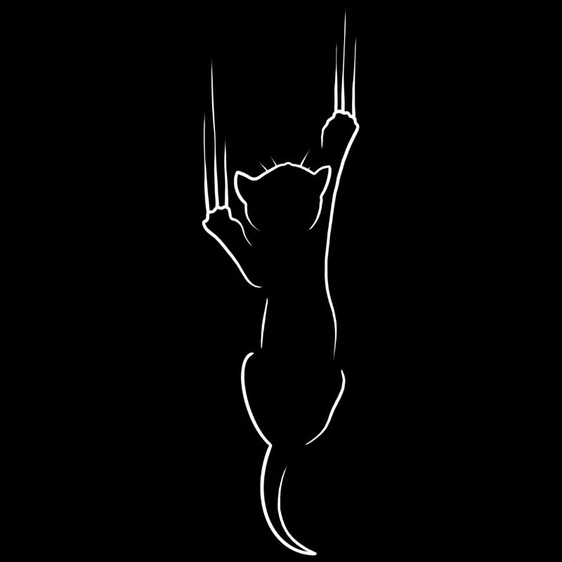 Chat noir griffures