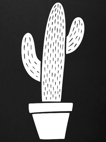 Cactus en pot