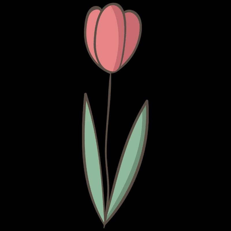 Tulpe