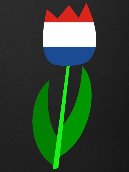 Netherlands tulips