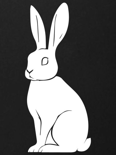 Lapin
