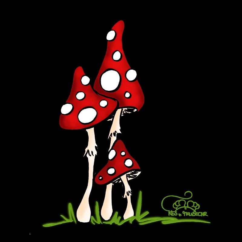 Muchotravky - Champignons